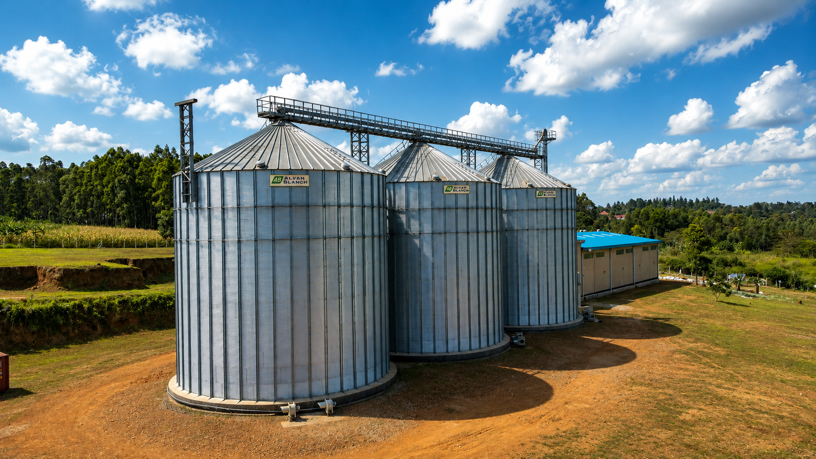 Bulk storage silos